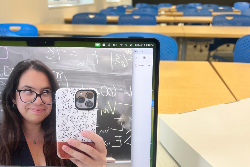 Fieldwork photo collecting insects